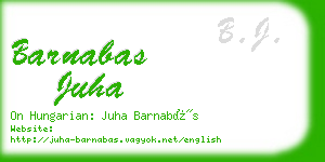 barnabas juha business card